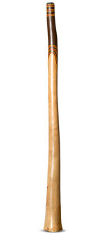 Jesse Lethbridge Didgeridoo (JL133)